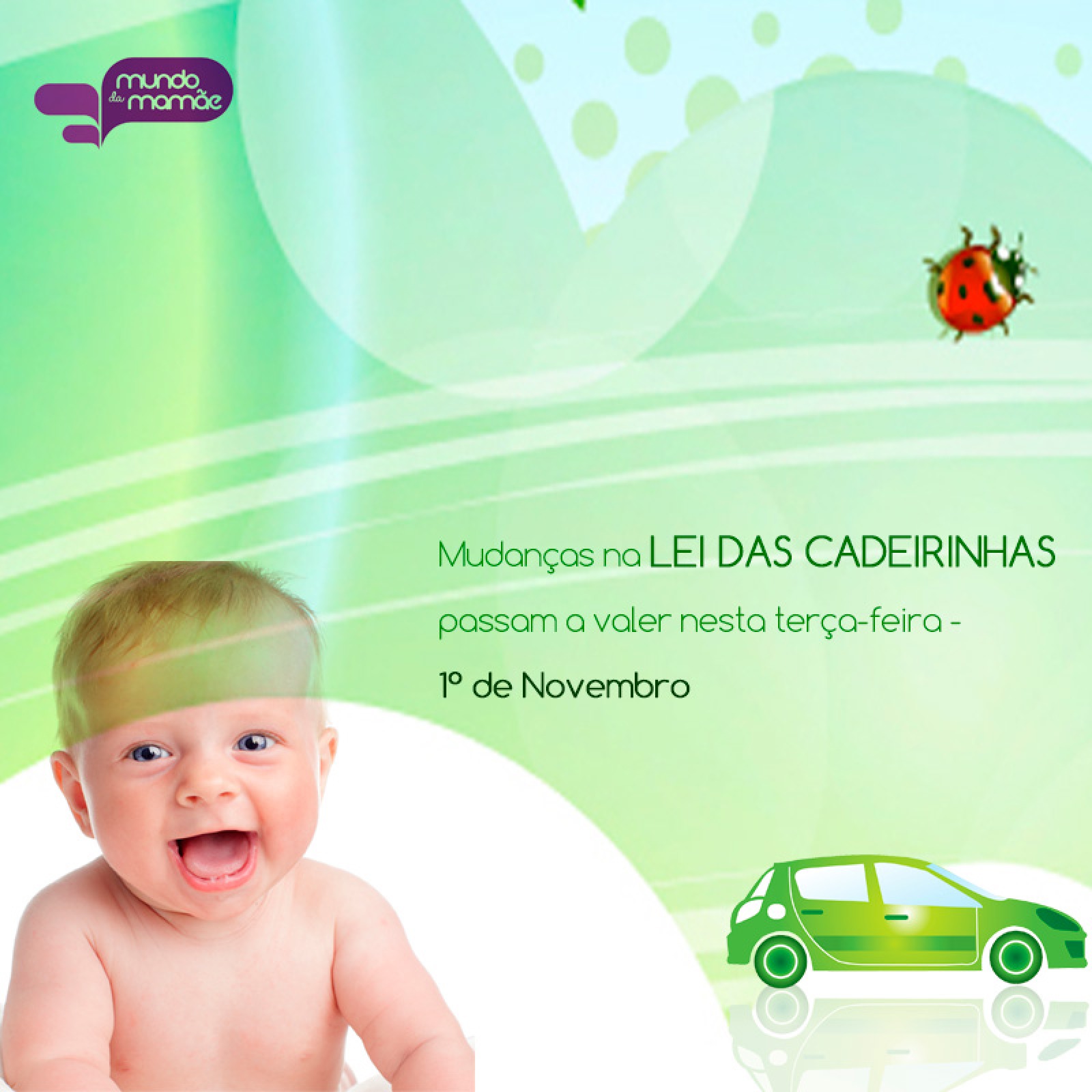 Lei da Cadeirinha: segurança e obrigação