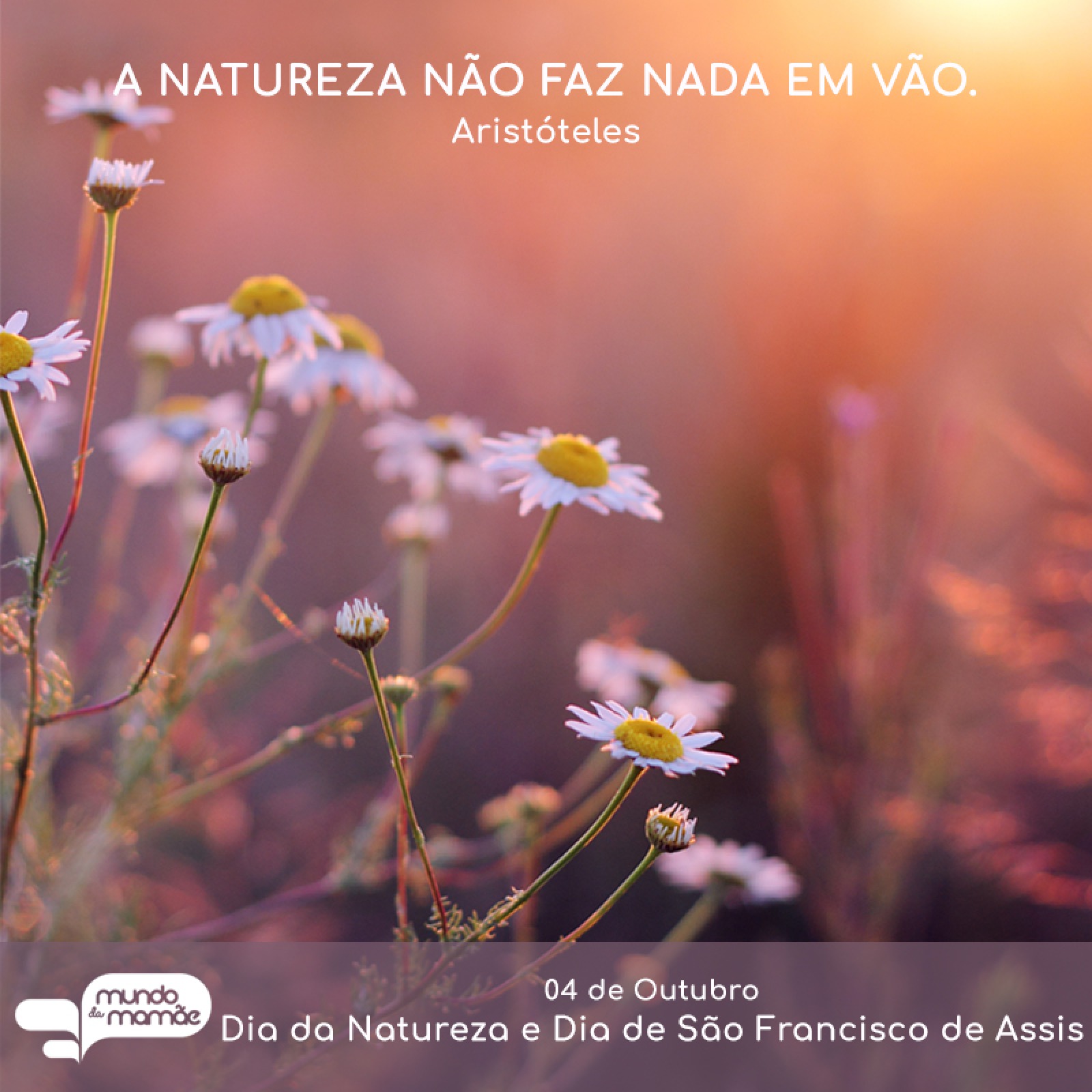 Dia da Natureza