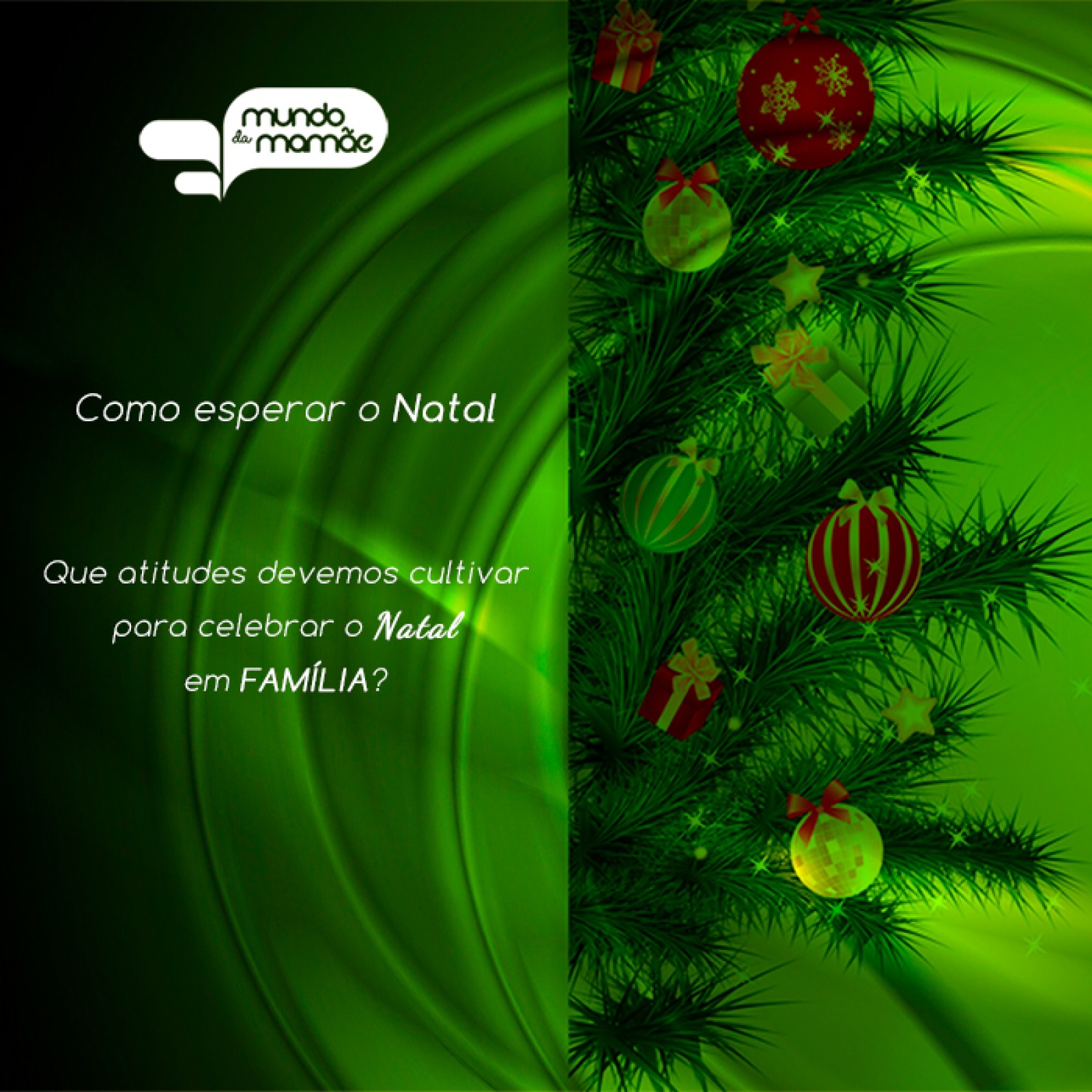 Os símbolos que preparam para o Natal