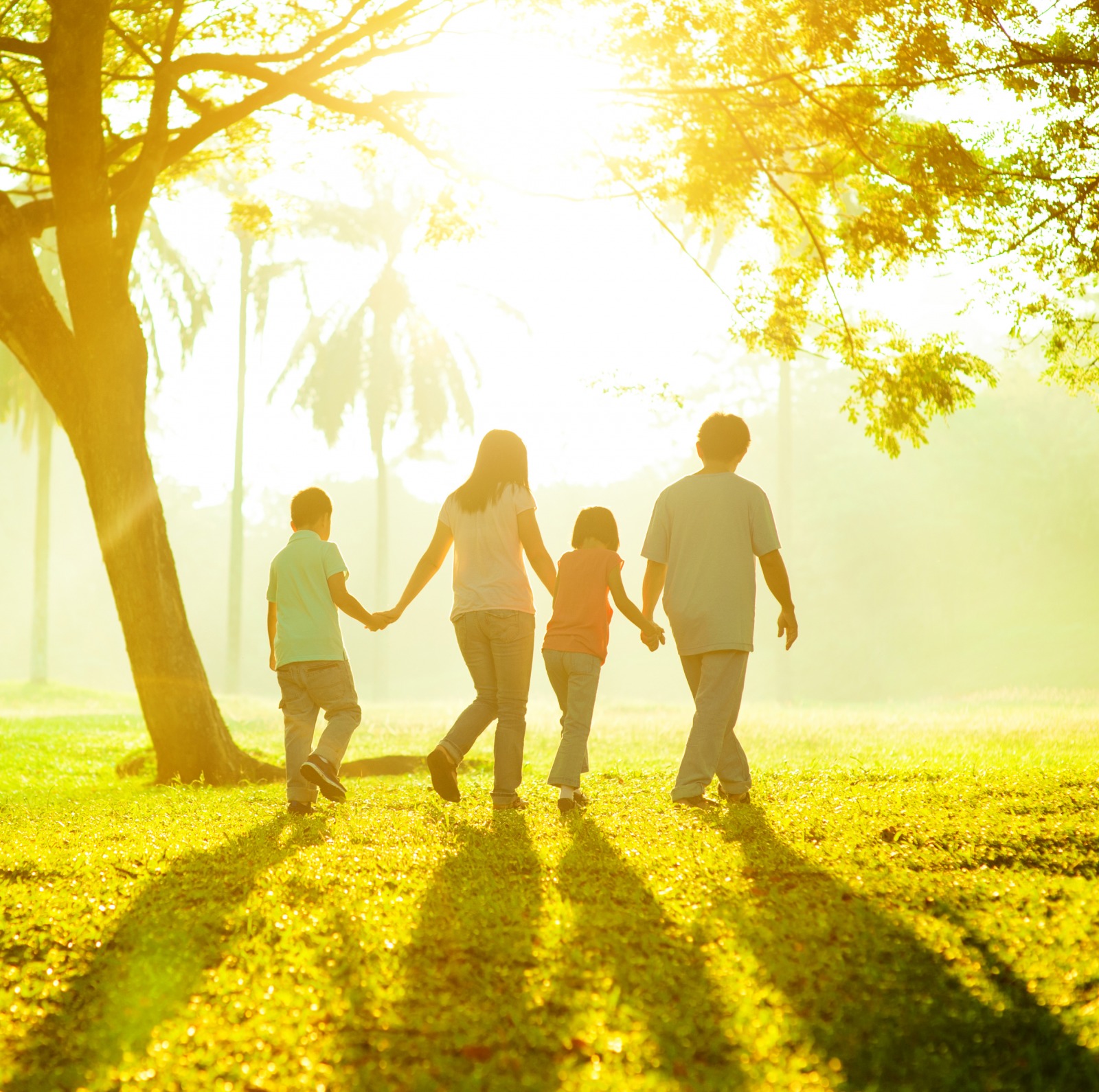 A família e seus desafios